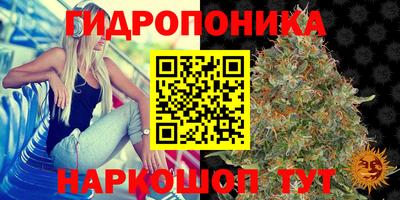 амф Конаково