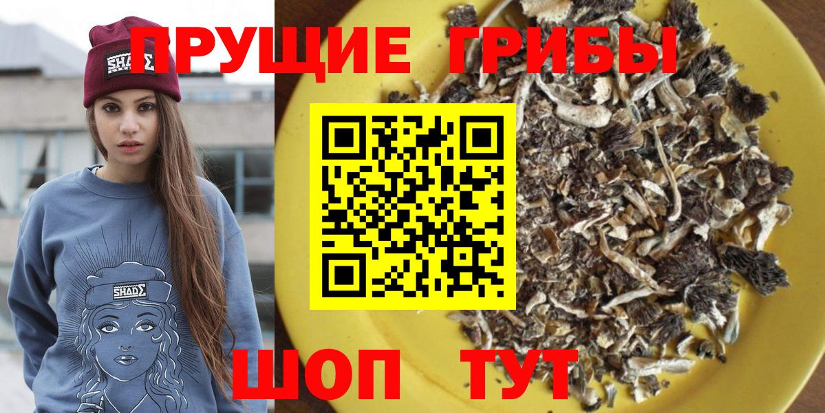 Галлюциногенные грибы прущие грибы  Вход с VPN  Камышлов 