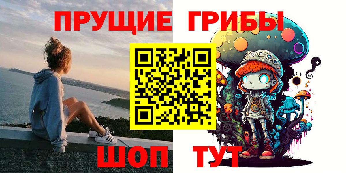 Псилоцибиновые грибы ЛСД Камышлов