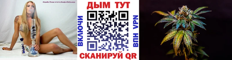 Бошки марихуана марихуана  купить наркоту  Камышлов 